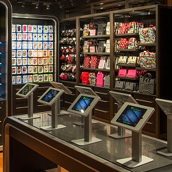 Theme Park KIOSK